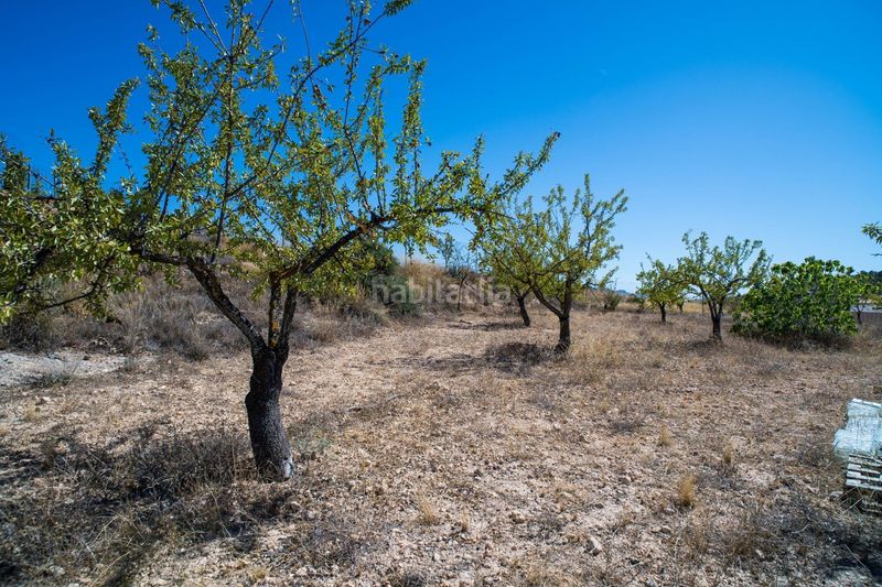 Foto d628cb02-ff41-4b54-9a39-7a8687bd455b. Casa a Pinoso