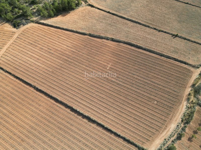 Foto 0b51b811-fbda-49b2-9a6b-ed5d73c8c7e6. Wohngrundstück in Pinoso