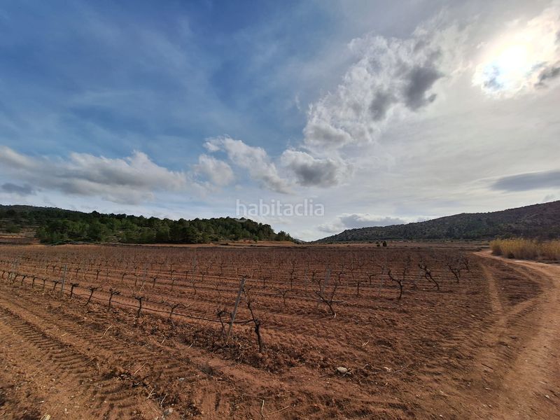 Foto ad061453-b1d4-42a3-81c9-cfa02c68c4c3. Wohngrundstück in Pinoso