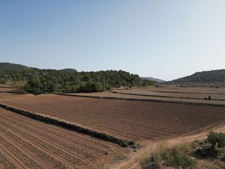 Wohngrundstück in Pinoso