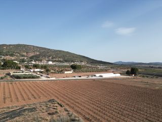 Wohngrundstück in Pinoso