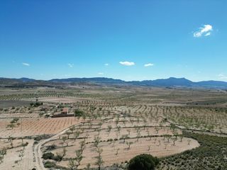 Residential Plot in Jumilla