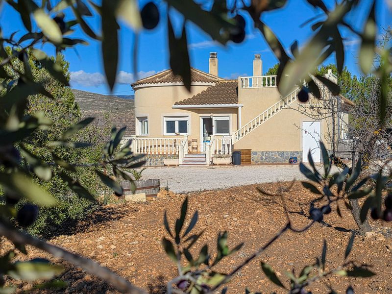 Foto 1b91a9a8-de60-4c4e-9238-3c27eb0c101c. Casa a Jumilla