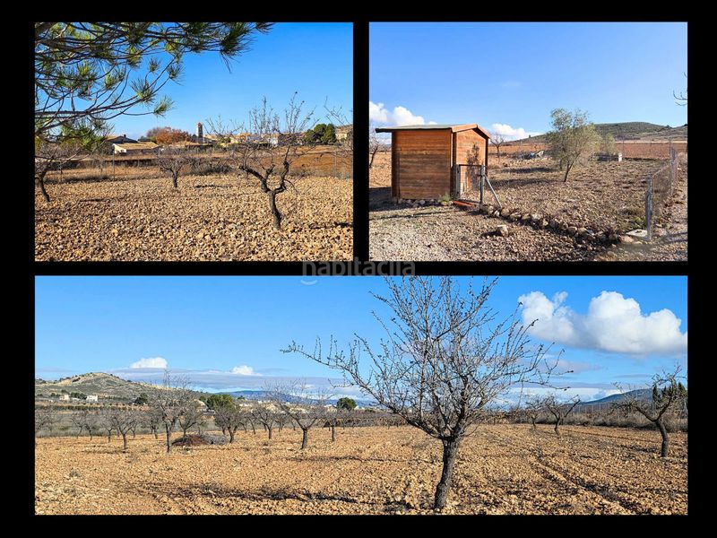 Foto 83acb269-e782-48c8-b633-6b8a9ed02c97. Casa a Jumilla