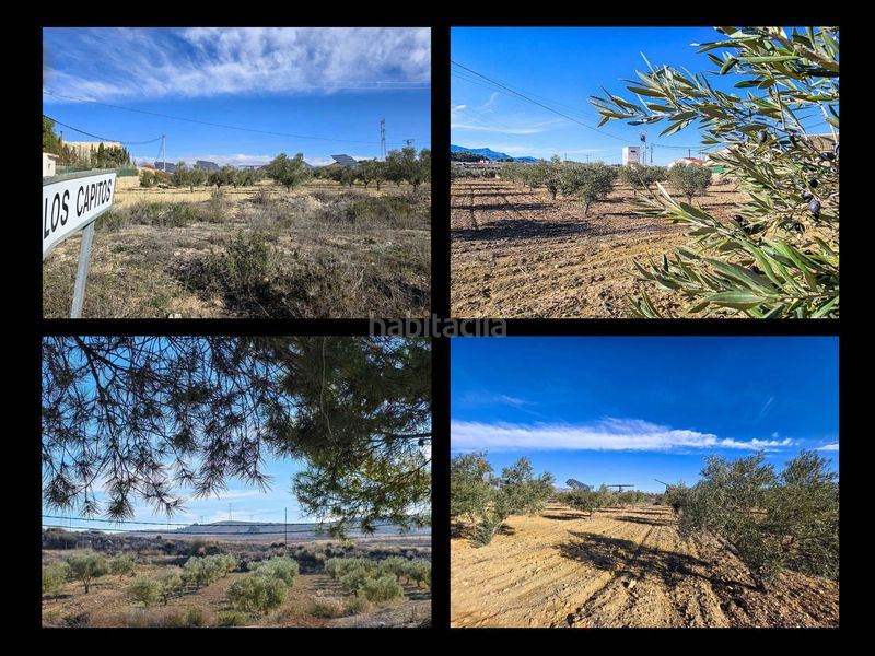 Foto 411f0785-0951-466a-a637-10781b362662. Casa adossada amb aparcament a Jumilla