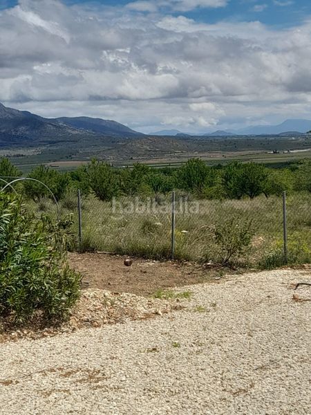 Foto 40c22b8c-3b79-4277-be06-09c12627131c. Casa amb aparcament a Pinoso