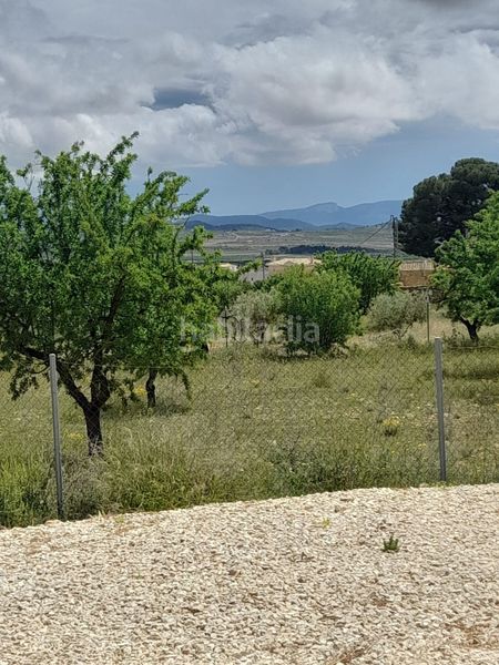 Foto ebe8b916-bc63-401d-affa-a22af7cbfbe3. Casa amb aparcament a Pinoso