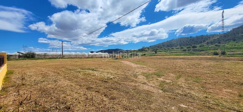 Foto c4501f12-9c70-4de7-ae29-2228feb7525a. Casa amb aparcament a Romana (la)