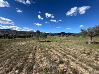 Wohngrundstück in Castalla