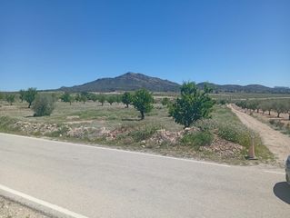 Wohngrundstück in Salinas