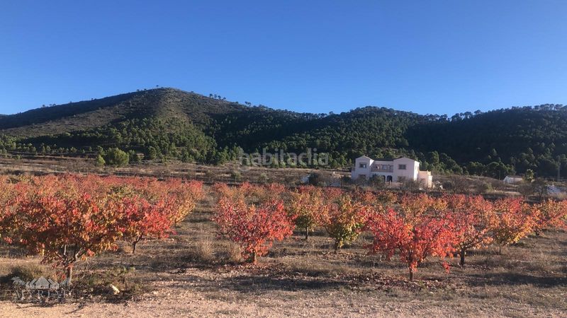 Foto faae763e-f832-498e-b785-2fbb75b9cdf0. Casa a Pinoso