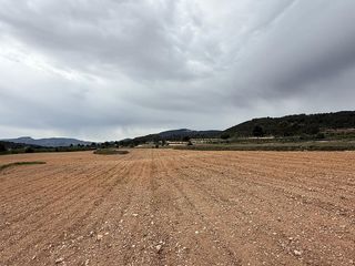 Terreno residenziale in Pinoso