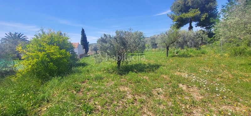 Foto 8ffd7a9f-9ee3-4e43-b5a5-f733aacd2879. Casa a Romana (la)