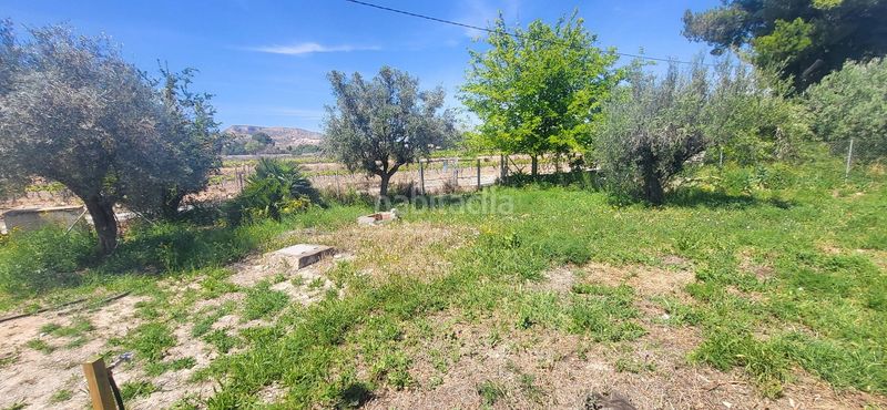 Foto 955b02c1-c981-4548-a587-73bb019cb877. Casa a Romana (la)