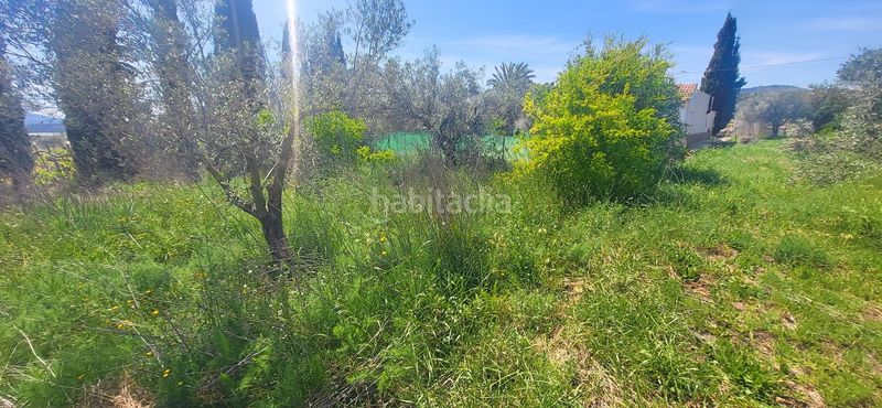 Foto aa2a7d77-8ce6-445e-927b-33f253f74389. Casa a Romana (la)