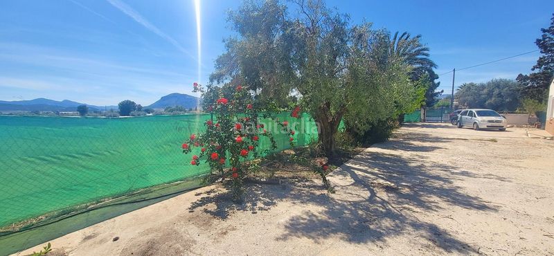 Foto d9abd01b-b5a0-4a0e-8118-f688d8537575. Casa a Romana (la)