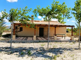 House in Abanilla