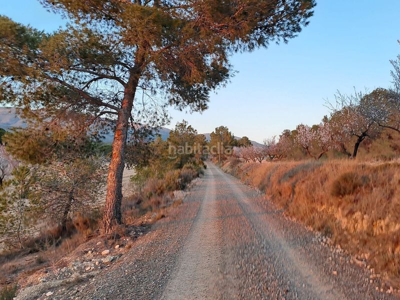 Foto 47ade969-6e77-4141-a744-134251bda4e6. Masia amb aparcament a Sax