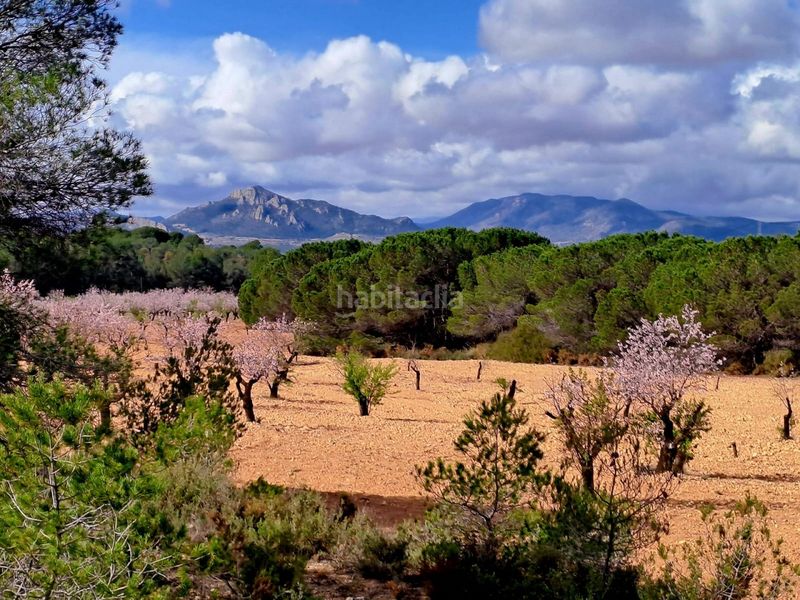 Foto cef655d5-c639-4ca8-a7c5-150057899b4d. Masia amb aparcament a Sax