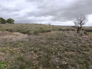 Residential Plot in Abanilla