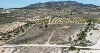Terreno residenziale in Pinoso