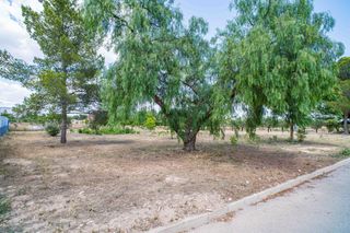 Residential Plot in Pinoso