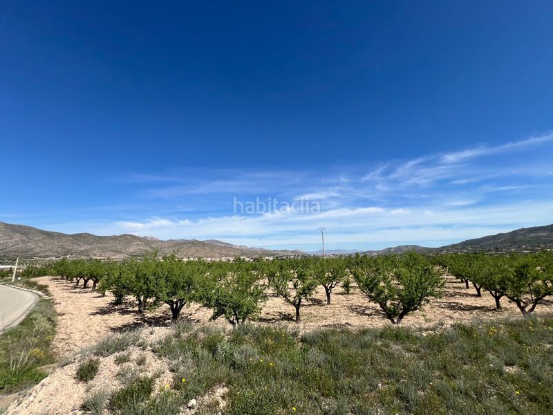 Foto 18c0a7be-b96d-4a7b-8cec-52b5ae5ae0df. Wohngrundstück in Hondón de los Frailes