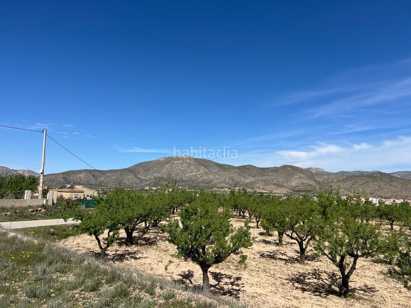 Foto df5112d0-97d3-4bfd-bcf4-4b9c1497d1c0. Wohngrundstück in Hondón de los Frailes