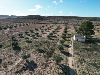 Terreny residencial a Jumilla