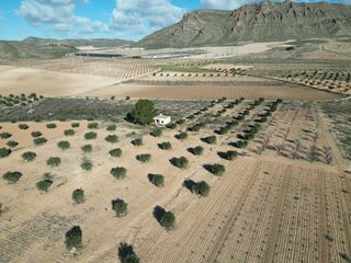 Terreno residencial en Jumilla