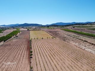 Terreno residenziale in Pinoso