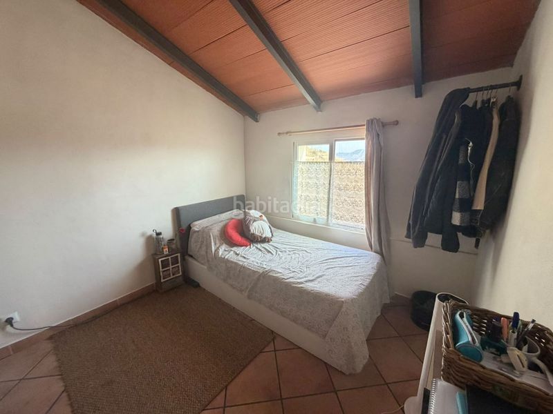 Foto b3896e89-887d-4993-bb42-108219365e4f. Masia a Pedanías Este Aspe