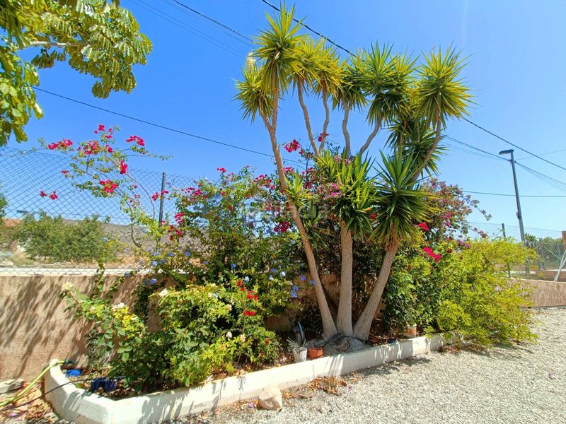 Foto 4b6d0405-5626-4dd8-bca3-4ca860c8f7eb. Casa a Abanilla