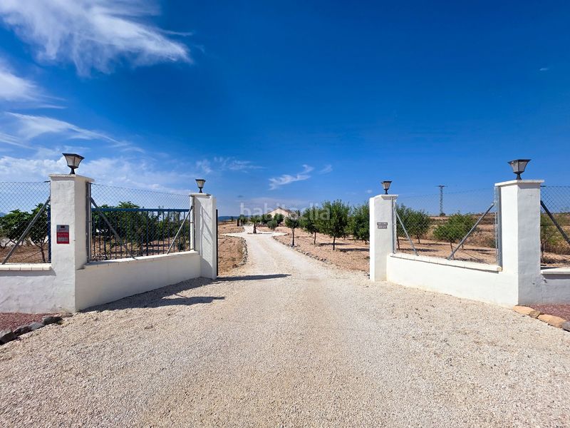 Foto 61632784-59f3-46c8-ad9e-80a3a9ac1854. Casa amb aparcament a Pinoso