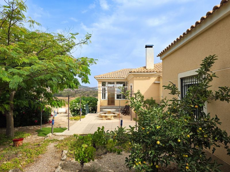 Foto b5fd65c4-22de-40ed-919f-2114948f9ac7. Casa amb aparcament a Pinoso