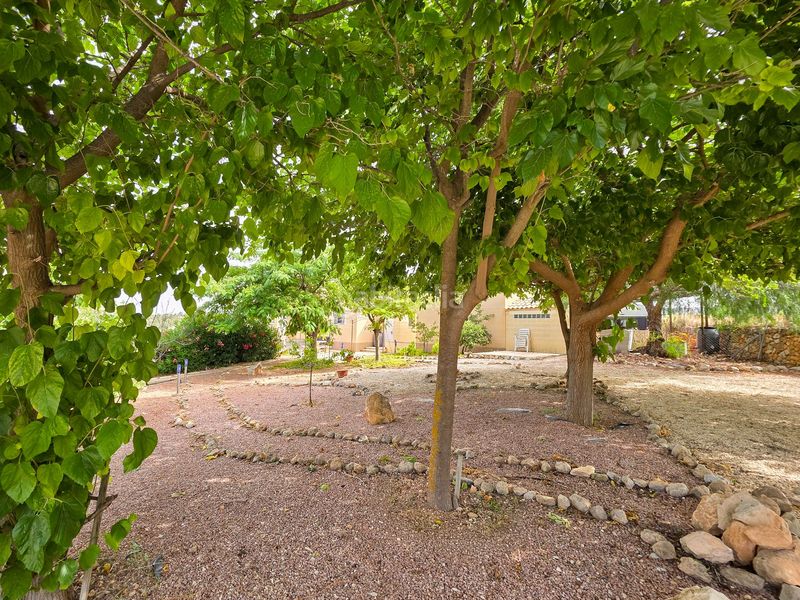 Foto f129351a-3703-4fbd-8e7e-13c7ab5bdf1b. Casa amb aparcament a Pinoso