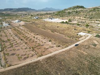 Terreny residencial a Pinoso