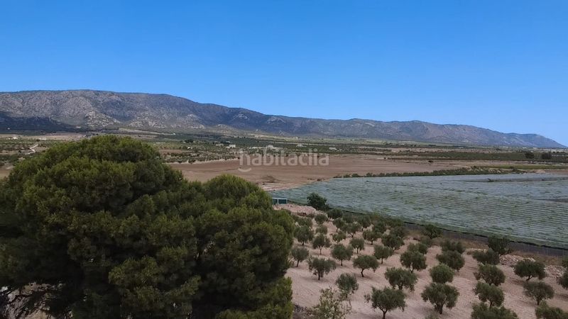 Foto 5b83d673-5870-4772-82b9-93e013bf7b98. Casa a Pinoso