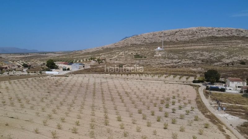 Foto 8888fc5b-9703-42f2-9489-dfe4845485ae. Masia a Jumilla