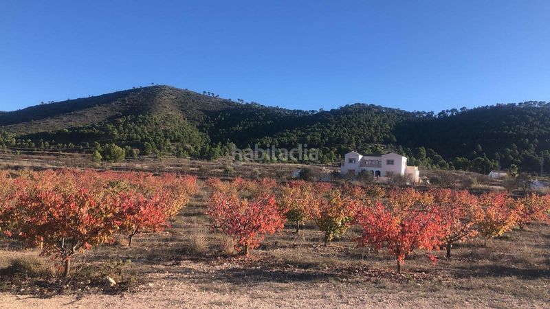 Foto cf7a1159-92d4-4841-9a9a-5d46cbcc7463. Casa a Pinoso
