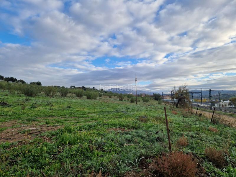 Foto f14bf272-a835-40b2-a144-665f4002778f. Terreno residenziale in Zona Sur - Av. De España - San Miguel Plasencia