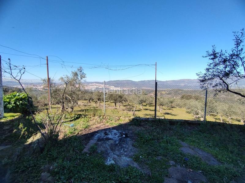 Foto 4b684b1f-d00d-472f-bcc8-73b7e72859ad. Bauernhof in Zona Sur - Av. De España - San Miguel Plasencia