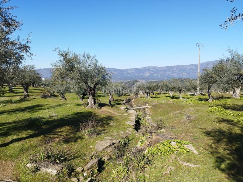 Foto 97603a2d-a7e8-49e5-a87b-b20da17a176d. Bauernhof in Zona Sur - Av. De España - San Miguel Plasencia