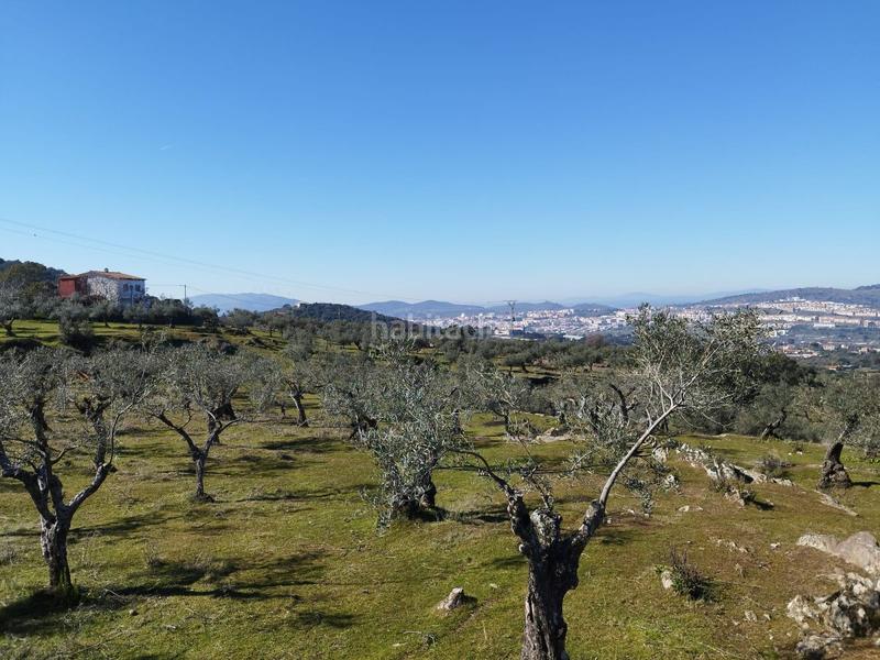 Foto a3fac66e-d6d7-4fd2-99b9-e95594dd3c27. Casale in Zona Sur - Av. De España - San Miguel Plasencia