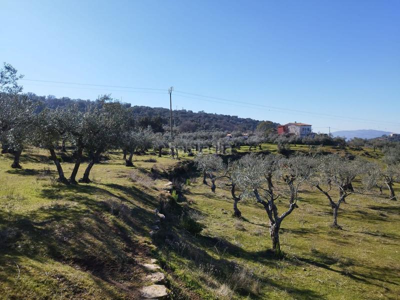 Foto 7a04ac05-a1b8-4c69-8347-3f8f39ead258. Mas dans Zona Sur - Av. De España - San Miguel Plasencia