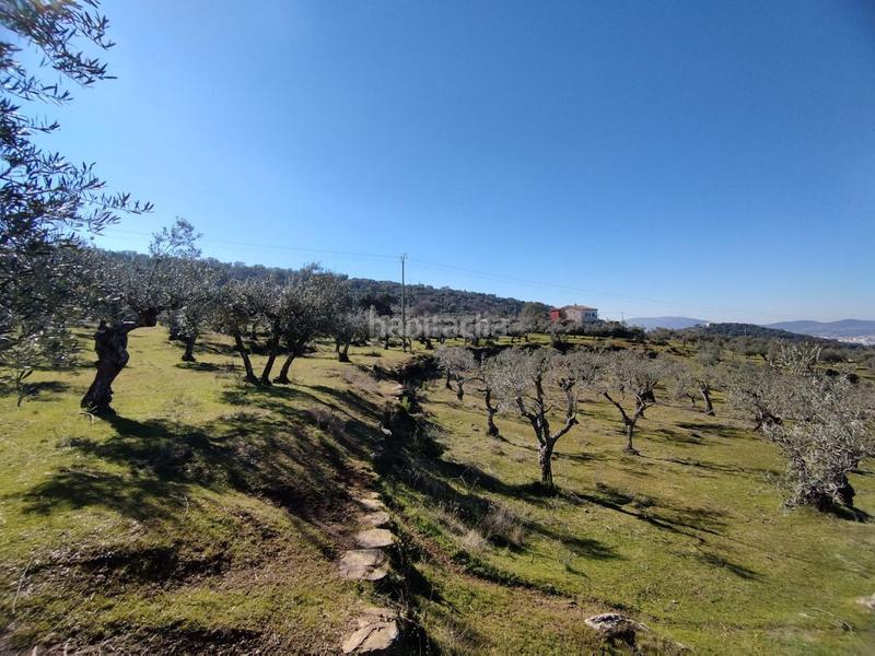 Foto fd1e0648-2d70-43c5-ae2a-6ce224a248af. Mas dans Zona Sur - Av. De España - San Miguel Plasencia