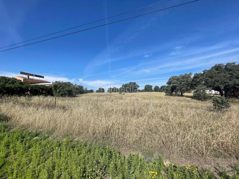 Foto 5a18afd0-5ba5-40d8-b887-07a7338dd910. Solar industrial a Casar de Cáceres