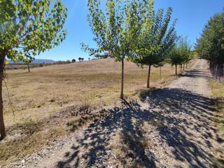 Terreny residencial  Calle calle pizarro,