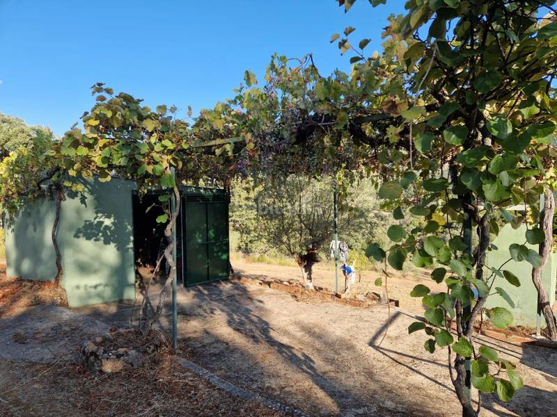 Foto ca5494db-4023-462f-8cfb-38d74bd2a16b. Finca rústica a Mirabel