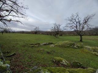 Fondo rustico in Gargüera